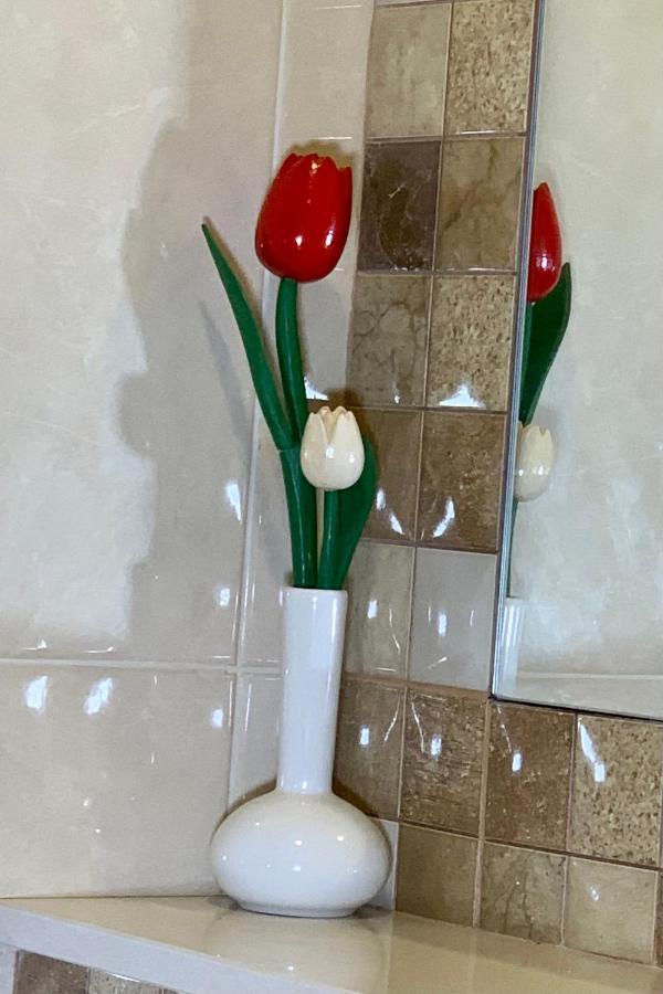 Luxury Art Room Split Bagian luar foto